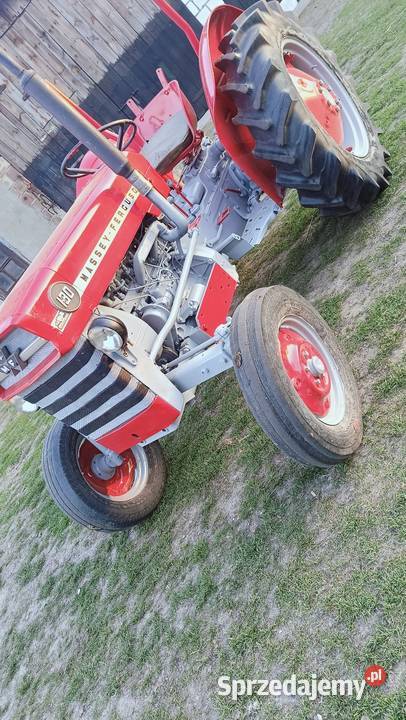 Massey Ferguson 130 podkarpackie Sokołów Małopolski sprzedam