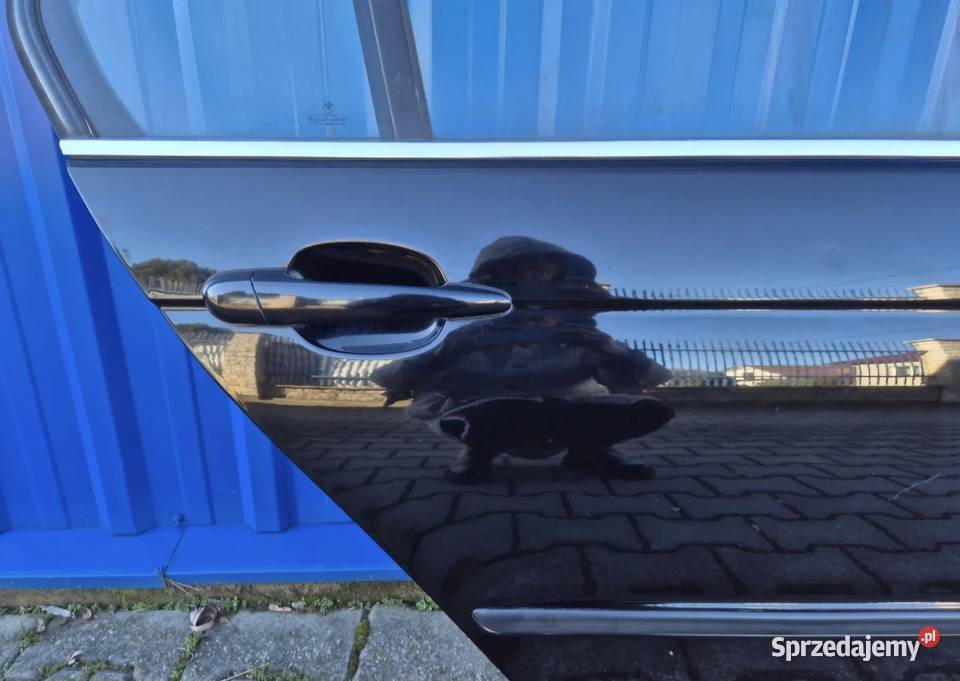 DRZWI TYŁ PRAWY LEWY BMW E46 SEDAN PRZEDLIFT osobowe Działoszyce