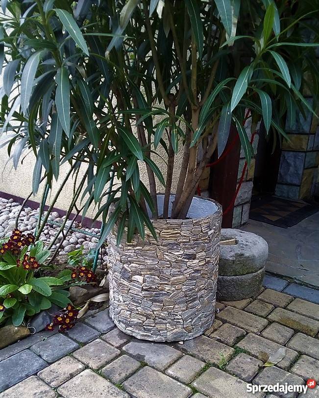Donica koło z kamienia naturalnego do ogrodu sprzedam