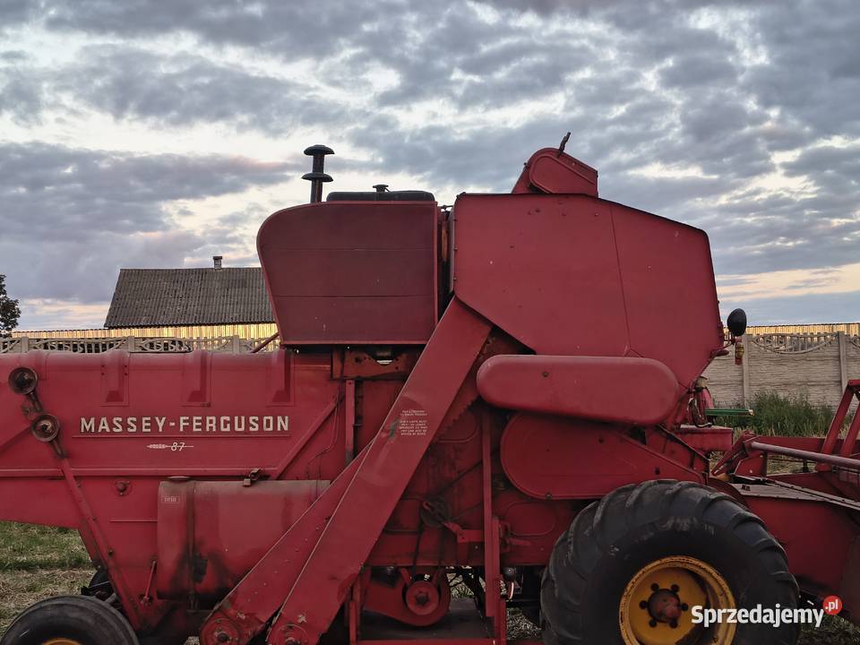 Massey Ferguson 87 kujawsko-pomorskie Baruchowo