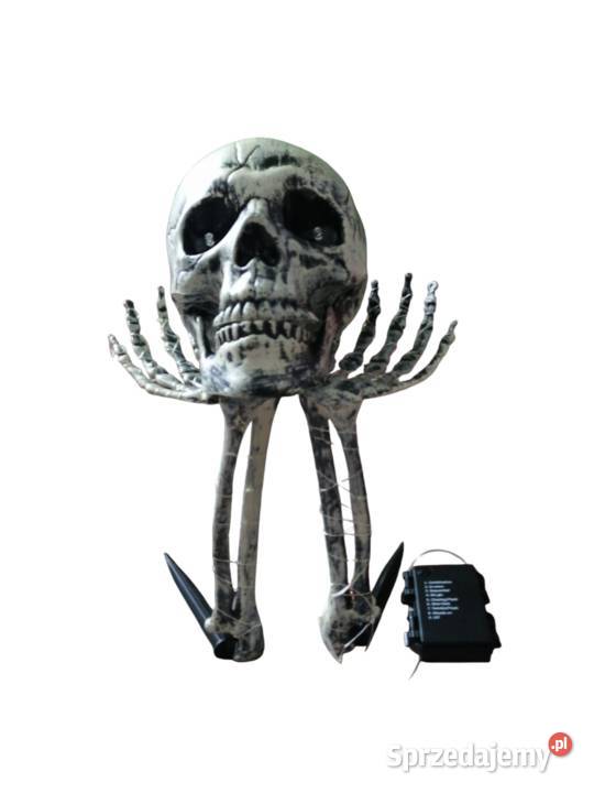 Świecący szkielet na Halloween zestaw czaszka Zawiercie