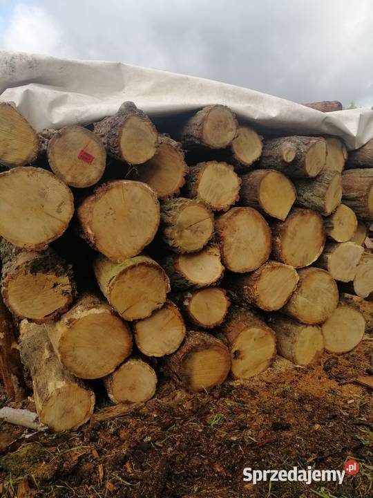 Drewno opałowe SUCHE wałki dębowe sosnowe wielkopolskie Sompolno