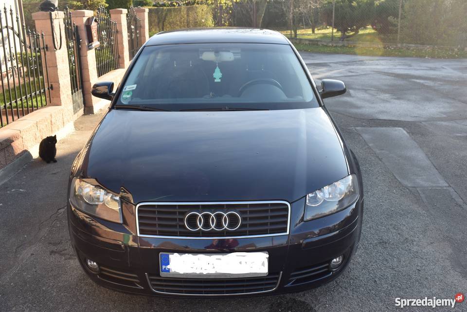 AUDI A3 8P 3D 115 2004 kurtyny powietrzne Ząbkowice Śląskie
