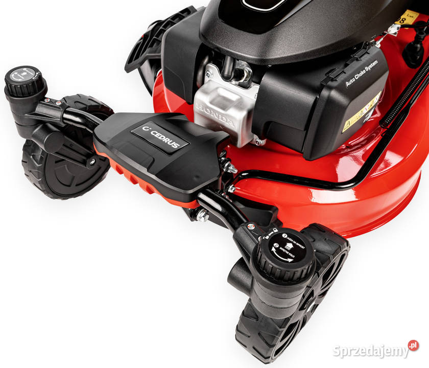 CEDRUS KS51SHZT HONDA KOSIARKA SPALINOWA DO Opalenica sprzedam