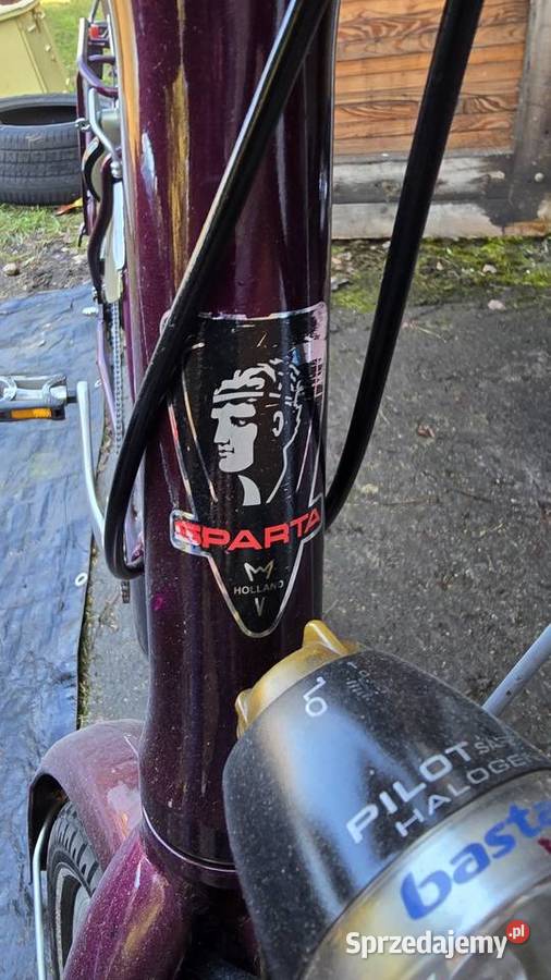 Rower Holenderka Sparta wielkopolskie