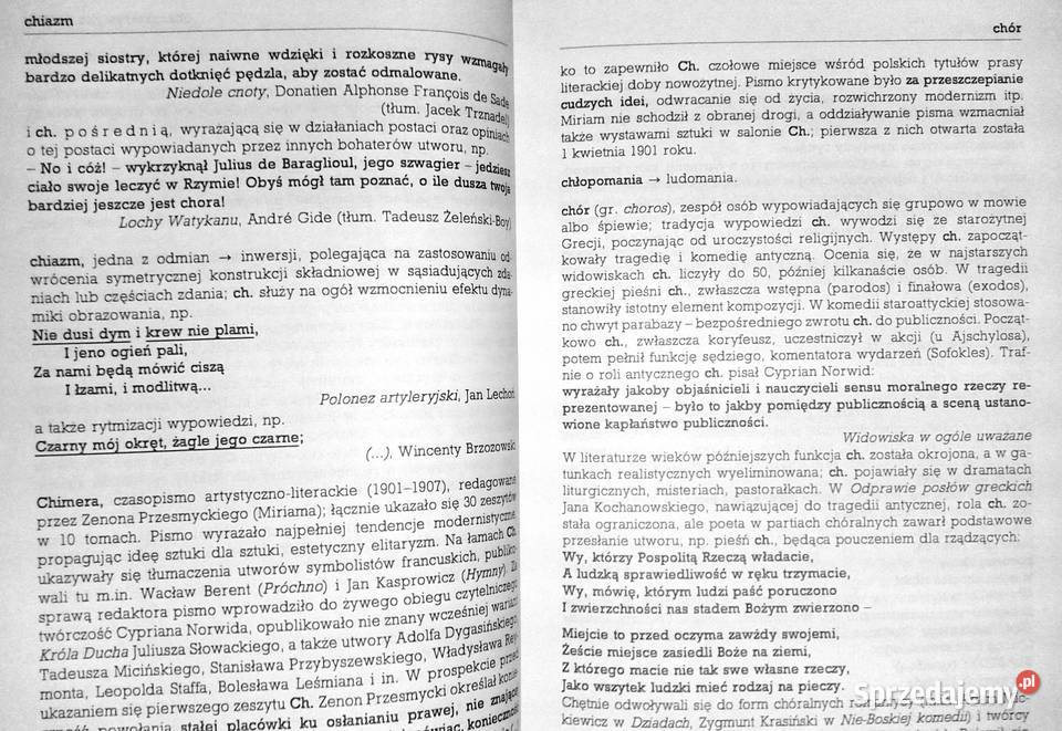 Szkolny słownik terminów literackich Tomasz Chełm sprzedam