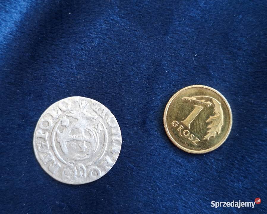 1 Półtorak Zygmunt III Waza Bydgoszcz 1624 Numizmatyka Wejherowo