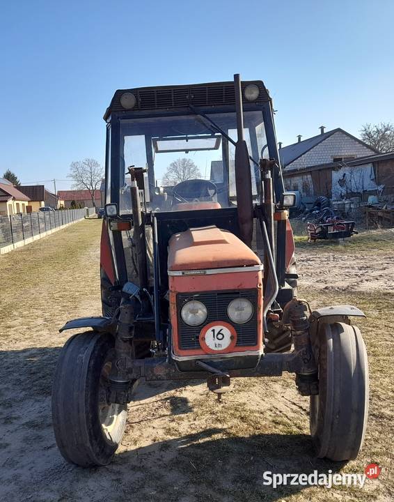 ZETOREK 7011 Ortel Królewski Drugi sprzedam