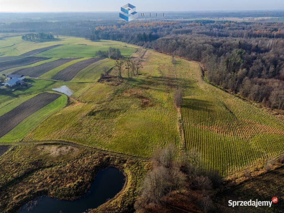 sprzedaży gruntu 53400 metrów Jędrychówko