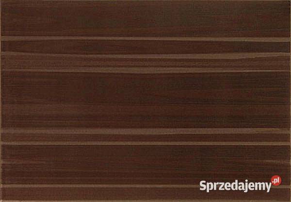Płytka Cado brąz o wymiarze 25 x 36 z Domino i Bielkowo sprzedam