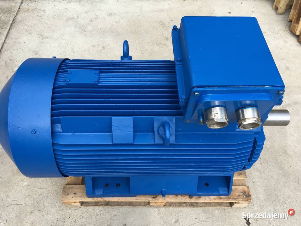 Silnik elektryczny 110 132 160 200 250 315 355 Pozostałe wielkopolskie Koło