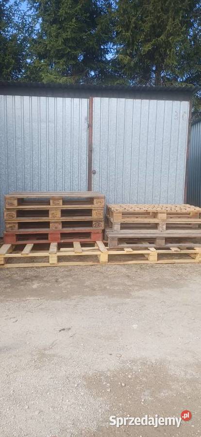 Palery rżne wymiary warmińsko-mazurskie Ełk