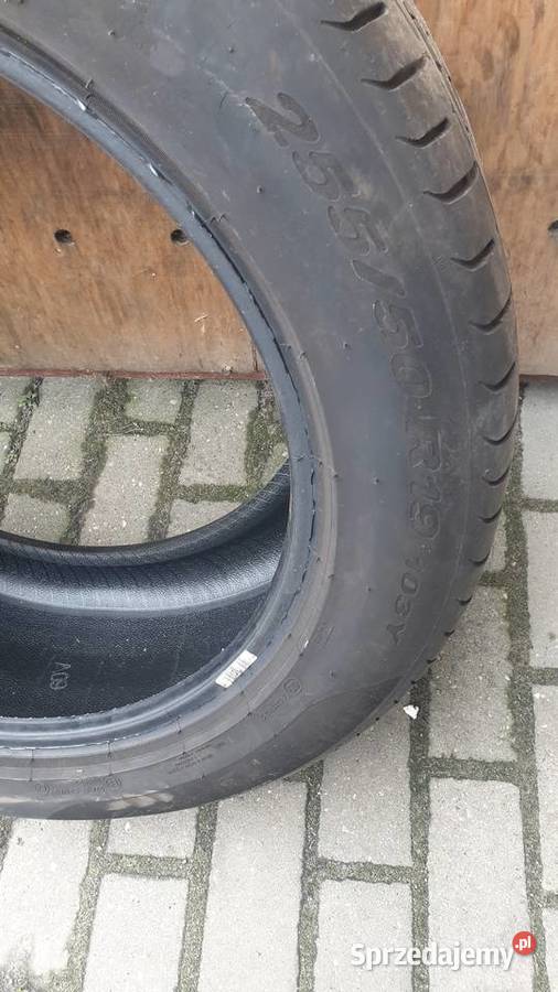 Sprzedam 2 opony letnie Pirelli P Zero 255 50 Samochodowe Poznań