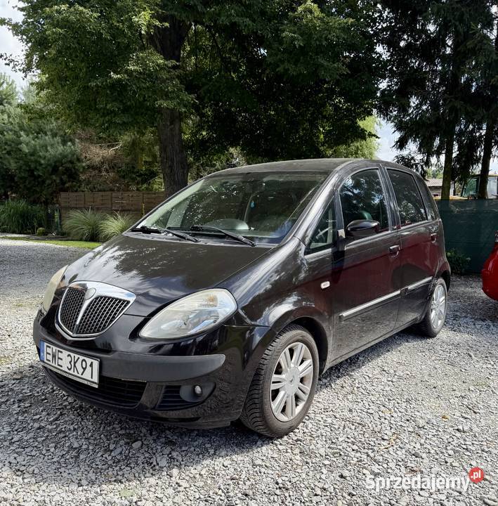 Lancia Musa 2006 14 benzyna Manual Zadbana Rok produkcji 2006 Musa Sokolniki