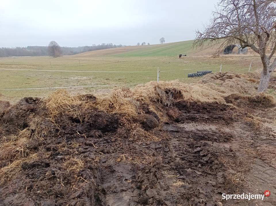 Oddam koński obornik nawóz duża ilość śląskie