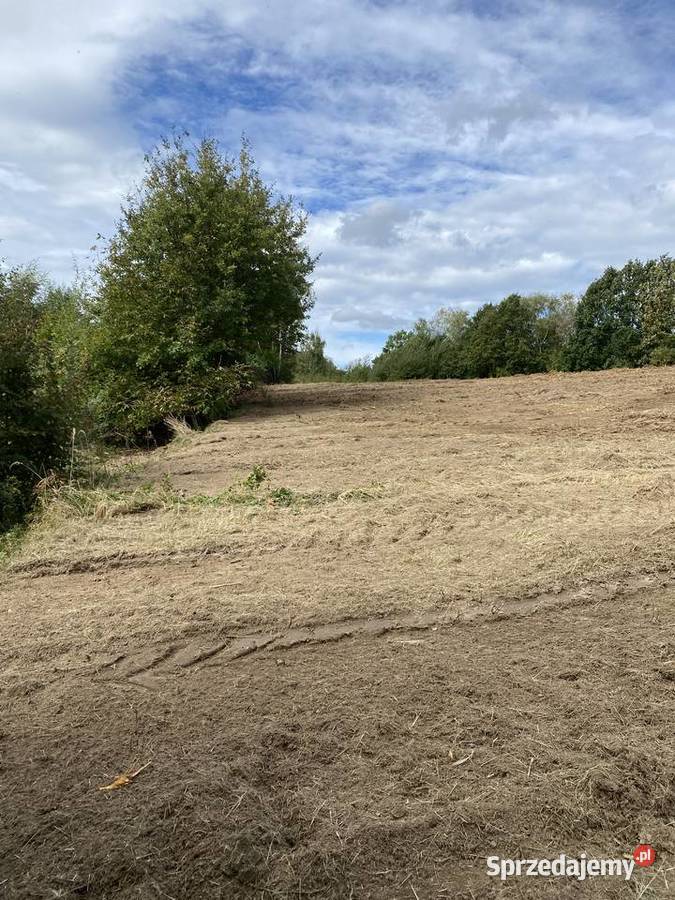 Karczowanie działek pod inwestycje słomiróg