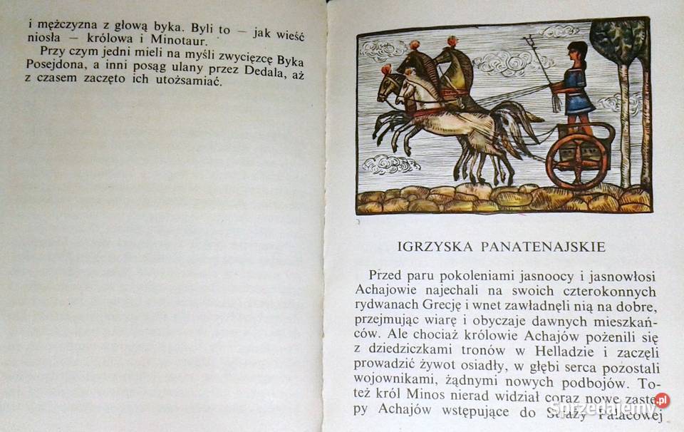 Mistrz Dedal Jadwiga Żylińska Pozostałe lubelskie Chełm sprzedam