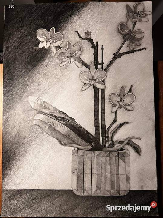 Unikatowy rysunek na zamówienie Moskorzew