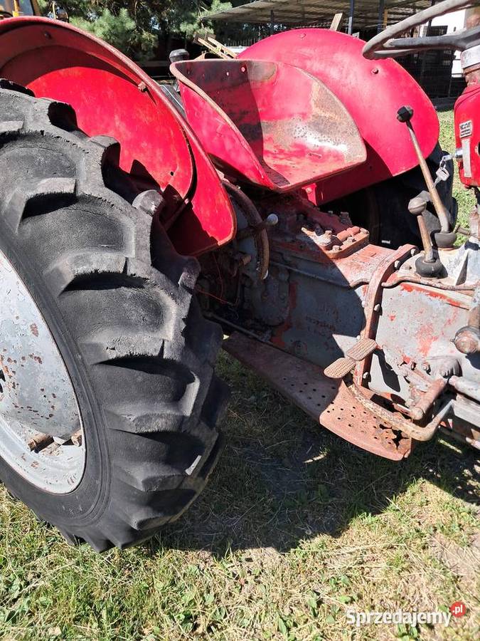 Massey ferguson Gniewkowo