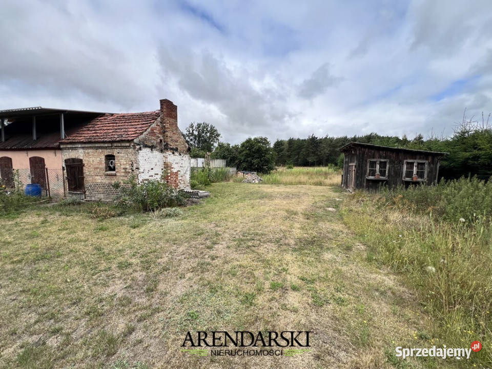 Ogłoszenie dom bliźniak 63m Goszków asfalt Sprzedaż