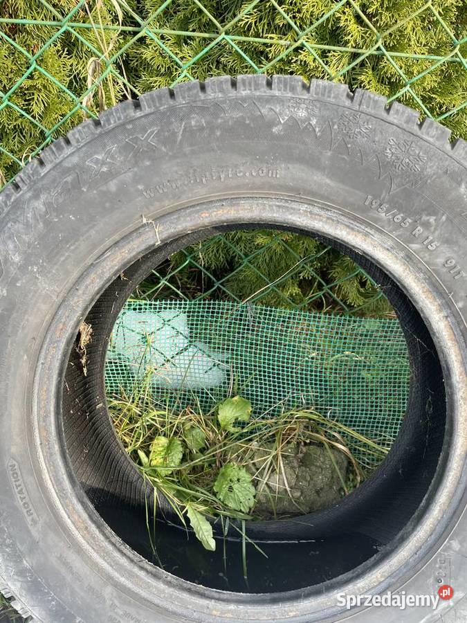 Passat b5 19 tdi Passat Olszanica