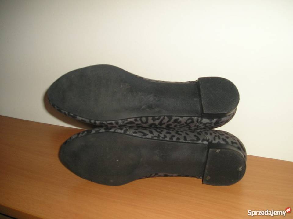 oksfordki panterka Atmosphere 39 255 Słupsk