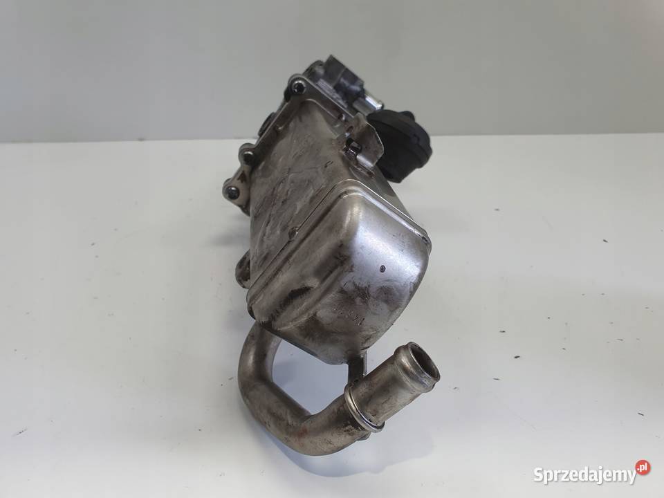 Audi A3 II 8P 16 TDI CHŁODNICA SPALIN egr