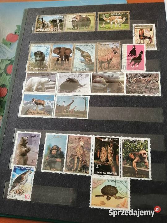 Album filatelistyczny że znaczkami Brodnica sprzedam
