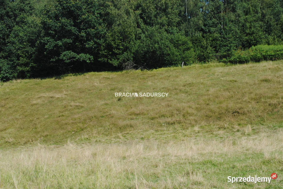 Grunt na sprzedaż Chorowice 2402m2