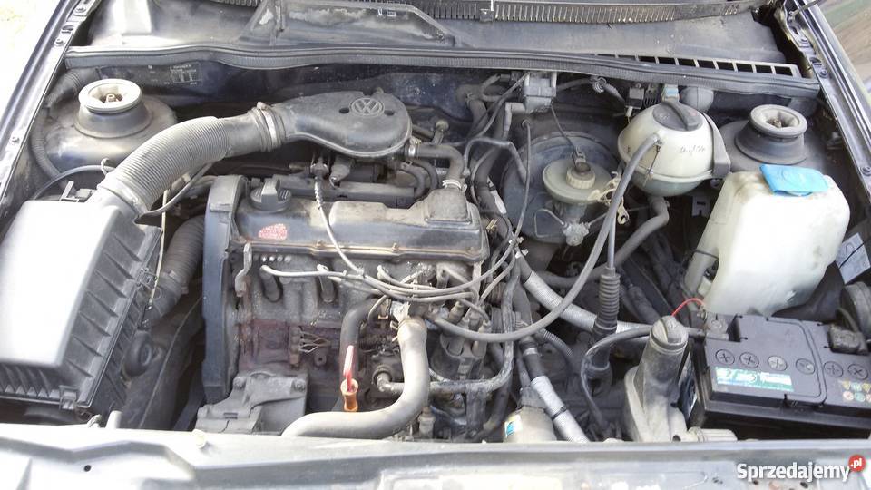 VW Polo Classic 16 benzyna rocznik 96 1600cm3 zachodniopomorskie Chojna