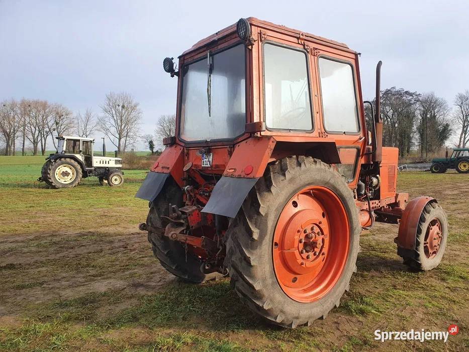 Ciągnik Belarus Mtz 82 1993 Oryginał ursus zetor zachodniopomorskie Barlinek