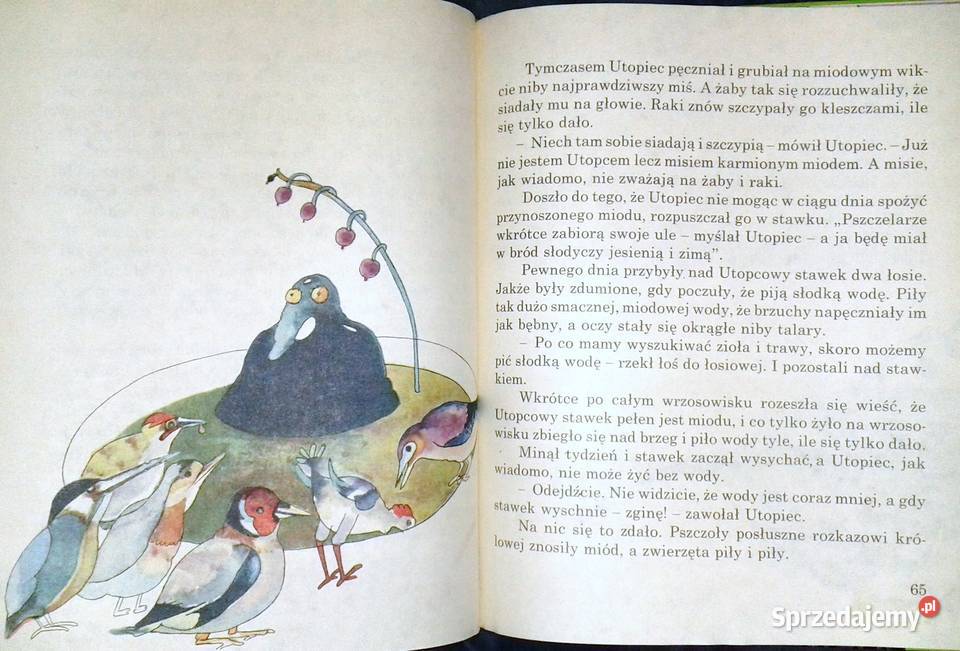 Opowieści z Bajkolandii Zbigniew Żakiewicz Chełm