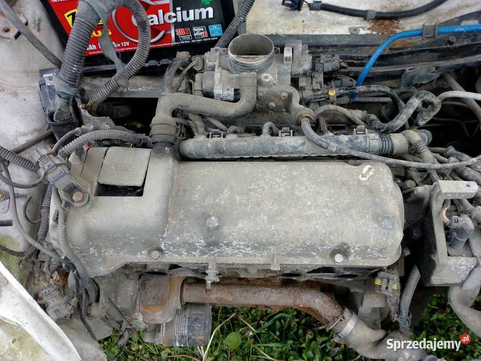 Fiat Seicento 1100 wszystkie części Pozostałe podkarpackie
