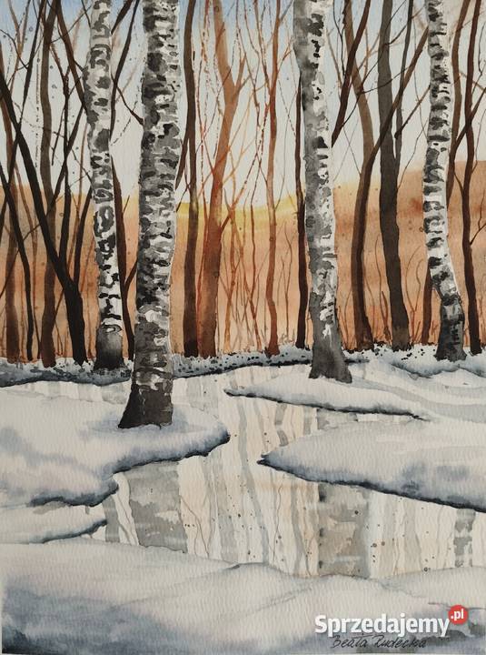 Akwarela Akwarelka Obraz pt Czar Brzóz Opole