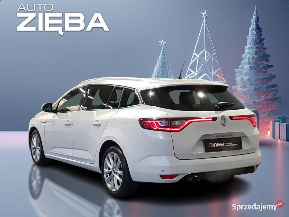 Megane 12 Energy TCe Intens 130