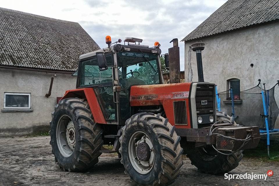 Sprzedam Massey Ferguson 2685 electronic kujawsko-pomorskie Bukowiec