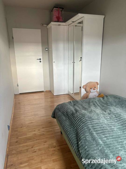 Sprzedam Mieszkanie 3 pokojowe piwnica Bełchatów