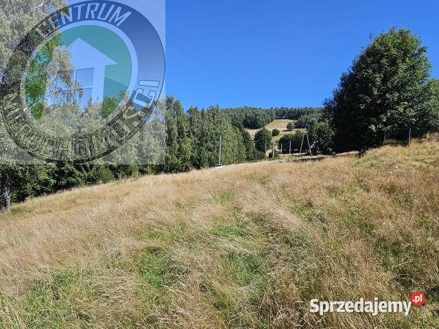 Grunt PiwnicznaZdrój 2000m2 szambo małopolskie Piwniczna-Zdrój sprzedam