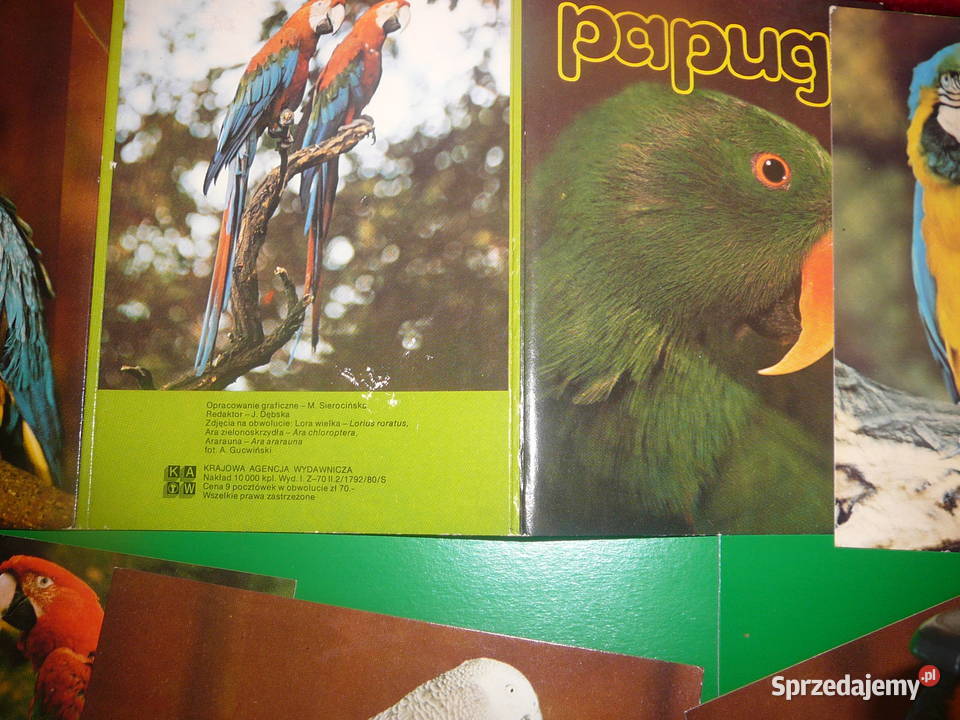 pocztówka zestaw papugi 9 PRL