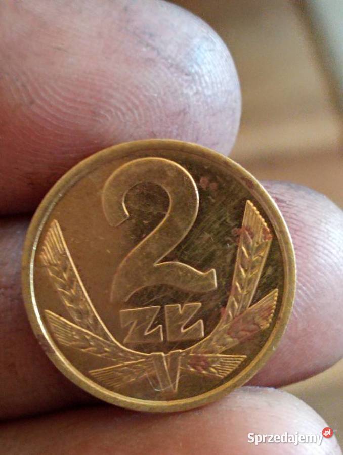 sprzedam monete 2 zl 1982 mosiadz Chełm