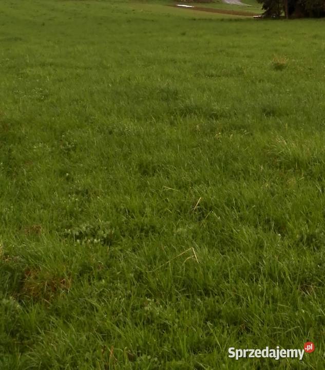 Działka budowlana Stadła bez pośredników Podegrodzie sprzedam