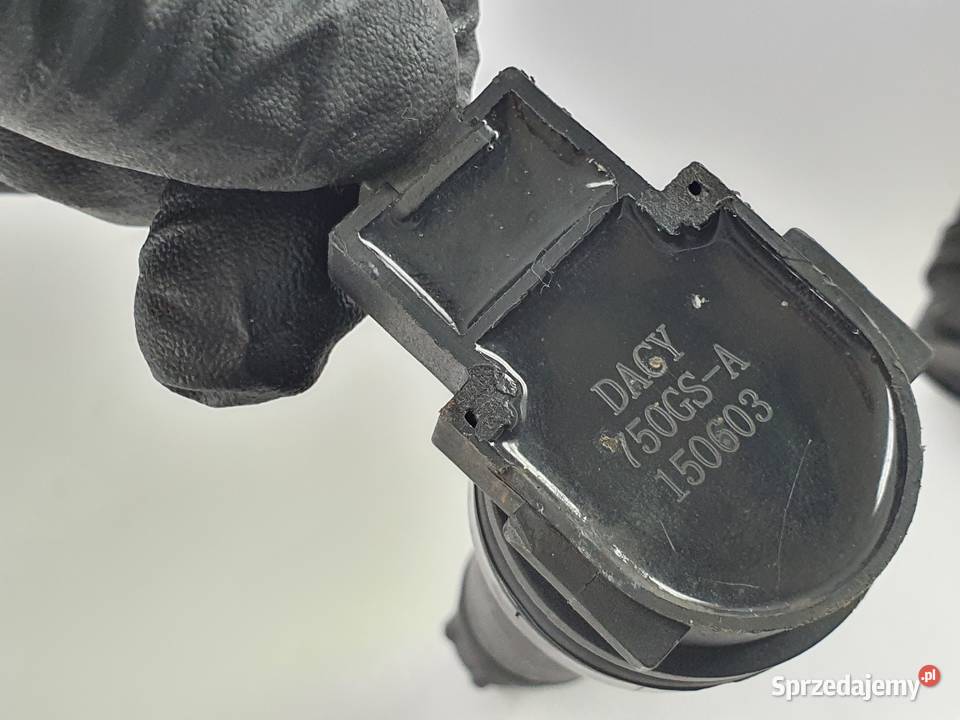 Cewka Fajka Benelli Bn 302 Łódź