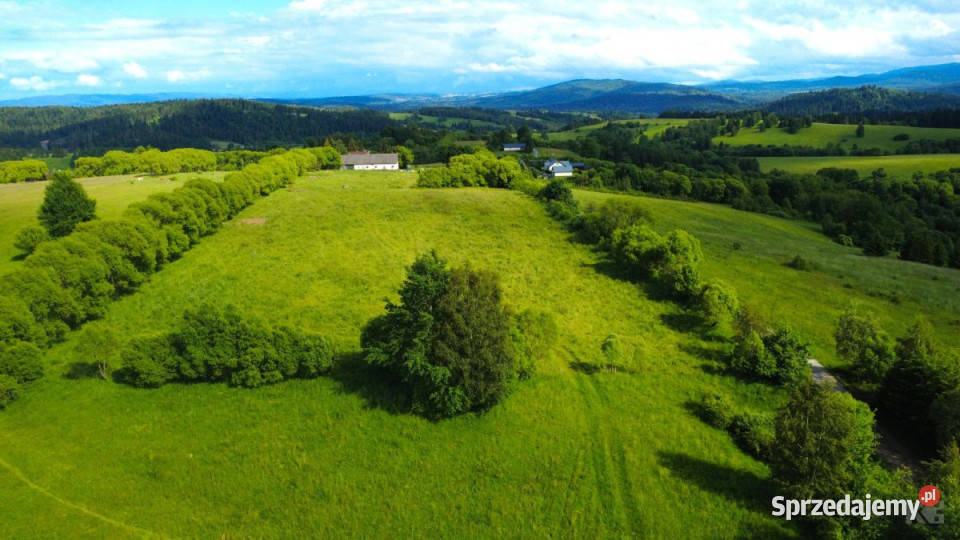 sprzedaży gruntu Lutowiska 23733 metry 23733m2 sprzedam
