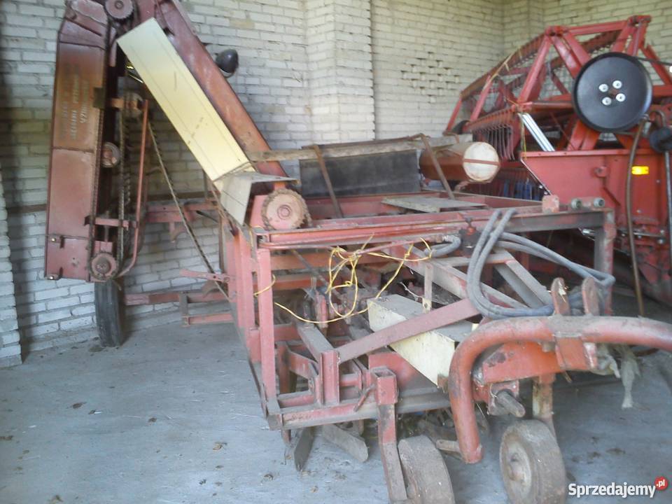 Kopaczka do buraków Olszewiec