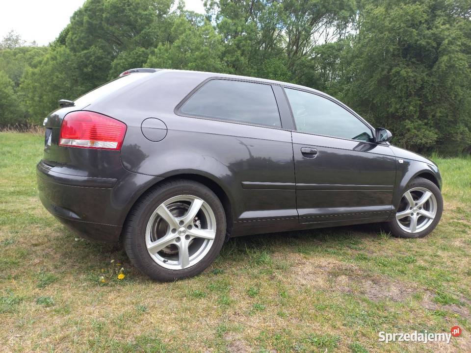 Audi a3 8p 16 mpi manualna