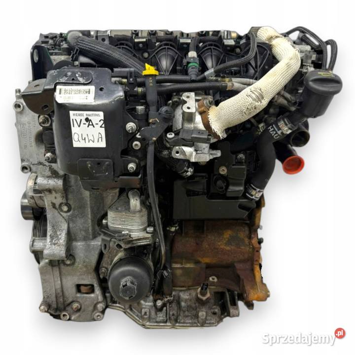 SILNIK Q4WA Ford Galaxy II MK2 S 22 TDCI 175 osobowe Chełm sprzedam