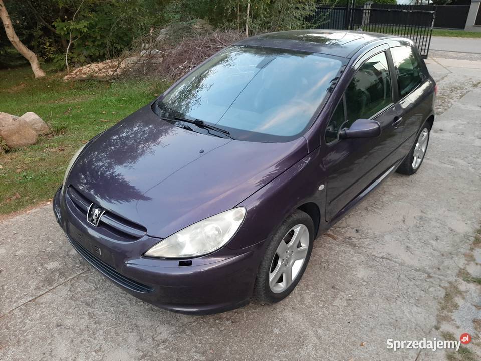 Peugeot 307 Sport S16 20 140 2002 Alu 17 Sprawny Nałęczów