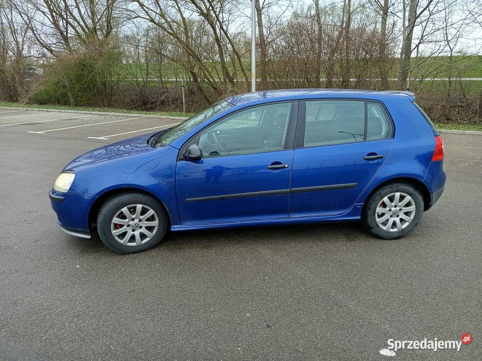 Volkswagen Golf V 16 MPI Benzyna 275412km Golf Tarnobrzeg