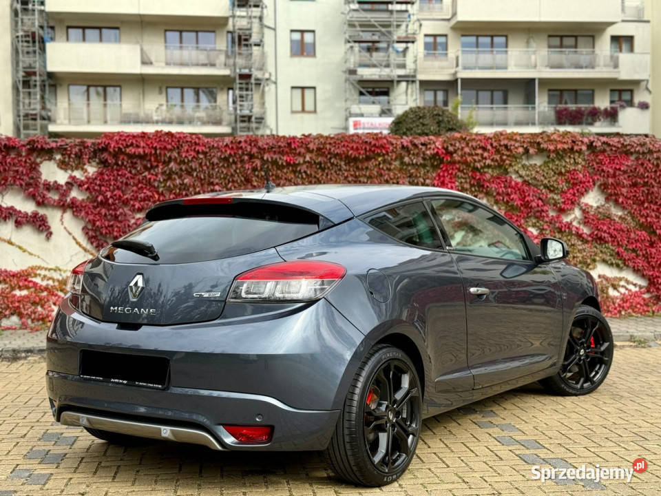 Renault Megane GT 220 20 Led Rlink Bose III szary śląskie