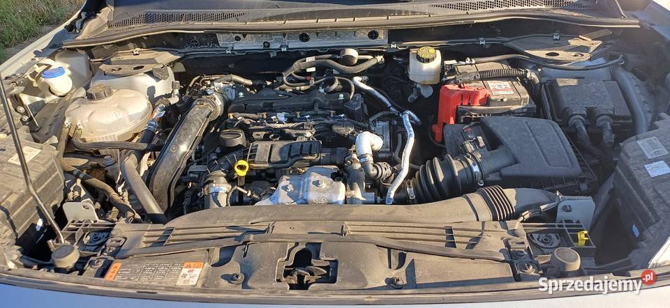 Ford Kuga 15 Trend Diesel 120 Bezwypadkowy Kraków